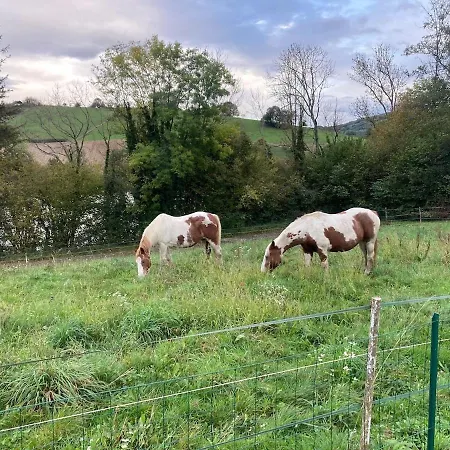 Gite Les Moulins Du Rafour * Le Pin (Isere)